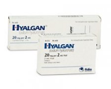 Fidia Farmaceutici SPA Hylagan | Used in Joint injection  | Which Medical Device